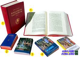 Thư Giới Thiệu Truyền Chức Thánh